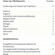Stundentafel für die Eingangsklasse des Ernährungswissenschaftlichen Gymnasiums. Aus dem Wahlpflichtbereich muss mindestens ein Fach gewählt werden.