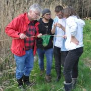 Die Teich-AG nimmt an der landesweiten Amphibienkartierung teil