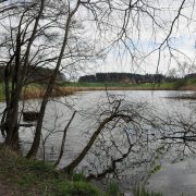 Lanzenreuter Weiher