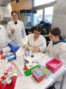 Schülerinnen in Laborkleidung sitzen an einem Labortisch und führen mikrobiologische Arbeiten aus.