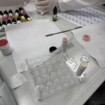 Auf einem Labortisch stehen Chemikalien und Instrumente zur Herstellung von Cremes und Lippenstift.