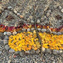 Landart aus bunten Blättern auf der grünen Wiese.